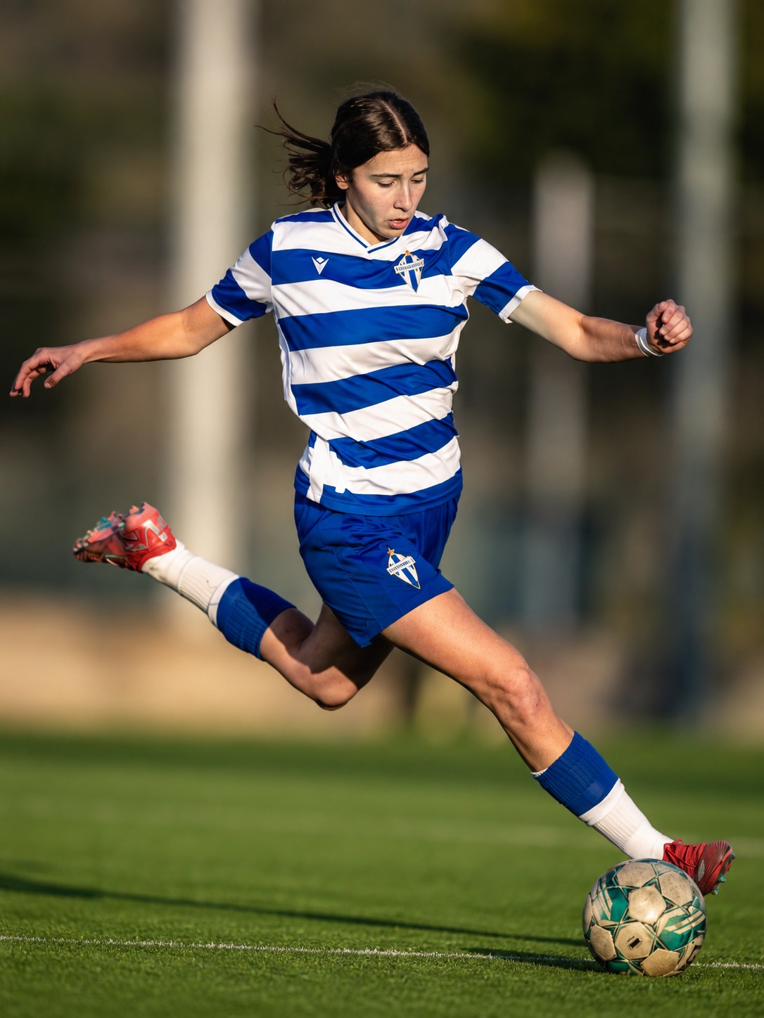 Aleka Balevic